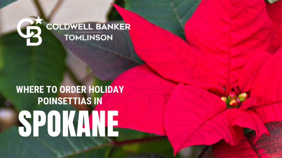 Spokane Poinsettias